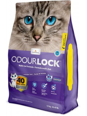 INTERSAND ODOURLOCK ULTRA PREMIUM LAVENDER 12KG (ΣΥΓΚΟΛΛΗΤΙΚΗ ME ΑΡΩΜΑ ΛΕΒΑΝΤΑ)