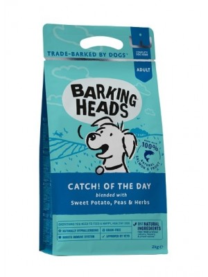 BARKING HEADS CATCH OF THE DAY SALMON & TROUT GRAIN FREE 12kg	