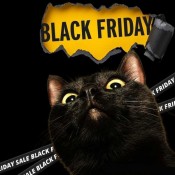 BLACK FRIDAY ...ΓΙΑ ΓΑΤΕΣ
