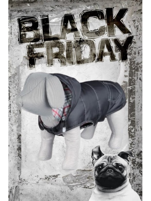 URBINO ΜΠΟΥΦΑΝ