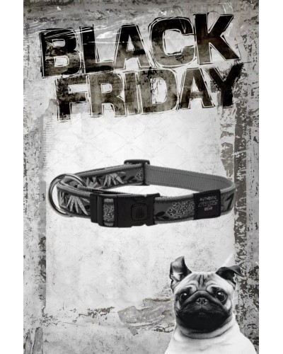 SILVER GECKO 26-40CM 