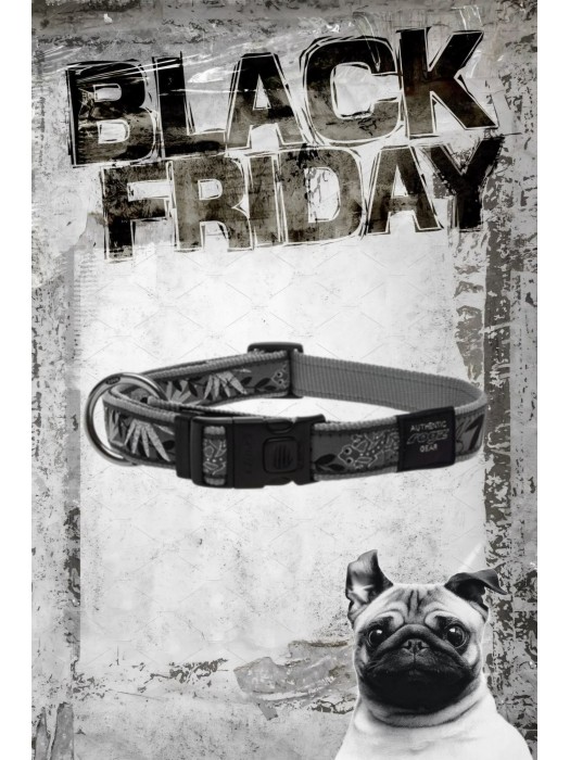 SILVER GECKO 26-40CM 