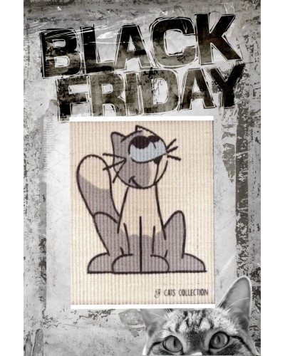 PAINTING SCRATCHING MAT FIZZ CAT 35×45CM