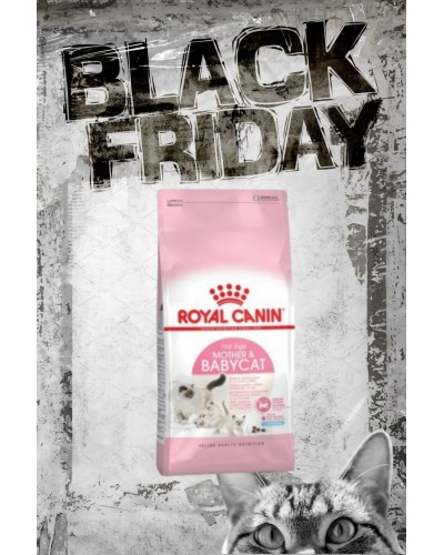 ROYAL CANIN BABYCAT 2kg