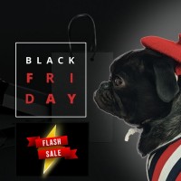 BLACK FRIDAY ...ΓΙΑ ΣΚΥΛΟΥΣ