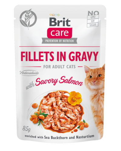 BRIT CARE POUCHES ADULT WITH SALMON IN GRAVY 85GR