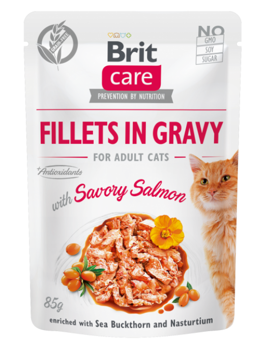 BRIT CARE POUCHES ADULT WITH SALMON IN GRAVY 85GR