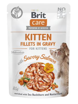 BRIT CARE POUCHES KITTEN WITH SALMON IN GRAVY 85GR