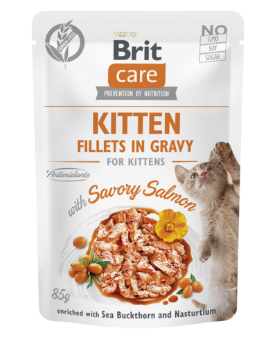 BRIT CARE POUCHES KITTEN WITH SALMON IN GRAVY 85GR