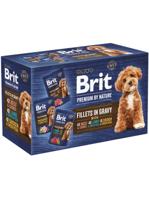 BRIT PREMIUM BY NATURE DOG POUCH FILLETS IN GRAVY FAMILY PACK 12x85GR