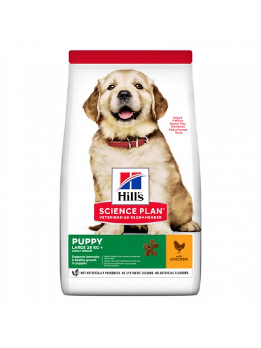 HILL'S PUPPY LARGE BREED CHICKEN 14,5KG