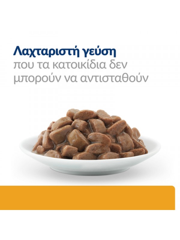 C/D FELINE MULTICARE URINARY CARE 85gr (ΦΑΚΕΛΑΚΙ)