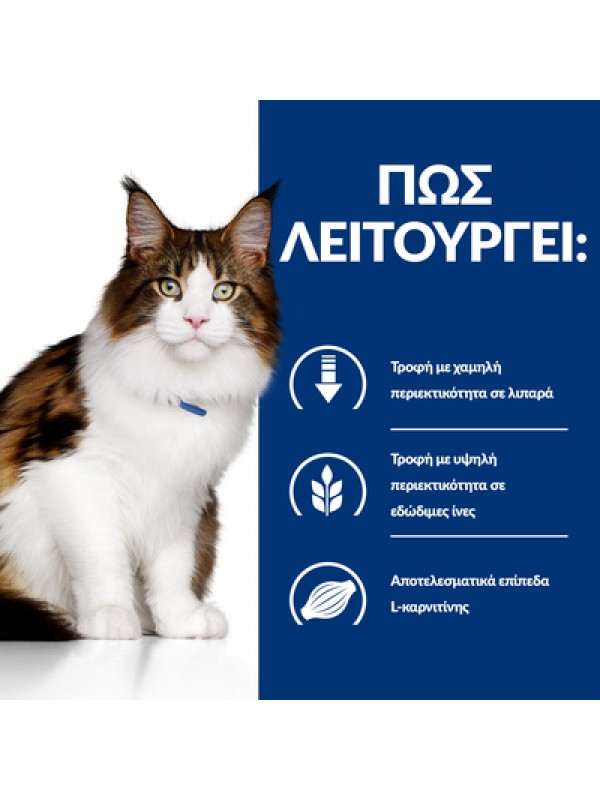 W/D FELINE MULTIBENEFIT 156GR/24ΤΜΧ