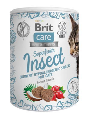 BRIT CARE SUPERFRUITS HYPOALLERGENIC INSECT 100GR