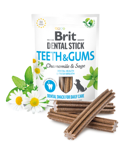 BRIT DENTAL STICKS TEETH & GUMS with CHAMOMILE & SAGE 7TMX (Για υγιή δόντια & δροσερή αναπνοή)