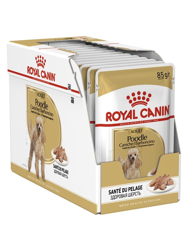 poodle royal canin puppy