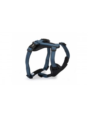 REFLECTIVE BLUE NEOPRENE HARNESS